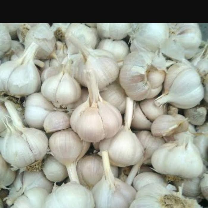 

BisaInstan- Bawang Putih Kating 1 Kg (Bogor)