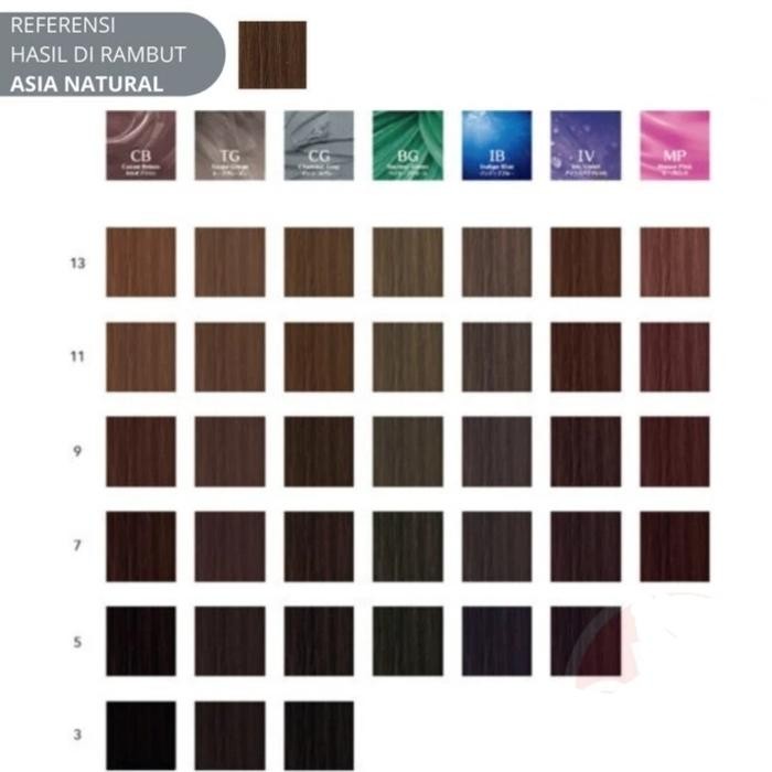 Promo Terbatas Cat Rambut Shiseido Ultist Cg Charcoal Gray Hair Color Shiseido Ultist Aman