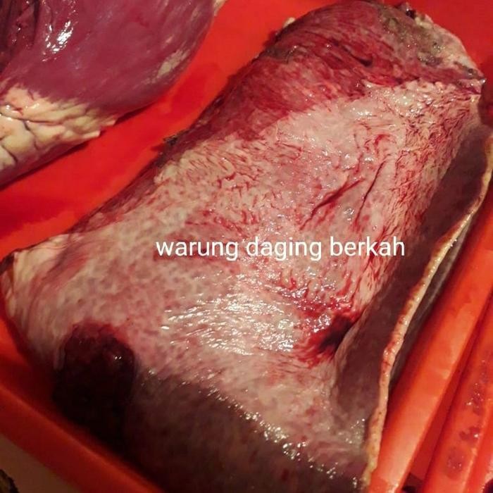 

Kirim,HariYgSama- limpa sapi segar