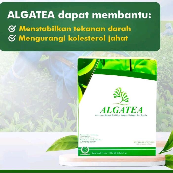 

Terlaris- Alga Tea Teh Hijau Karnus Anti Oksidan Tinggi Isi 15 Sachet / Boks Greentea Herbal