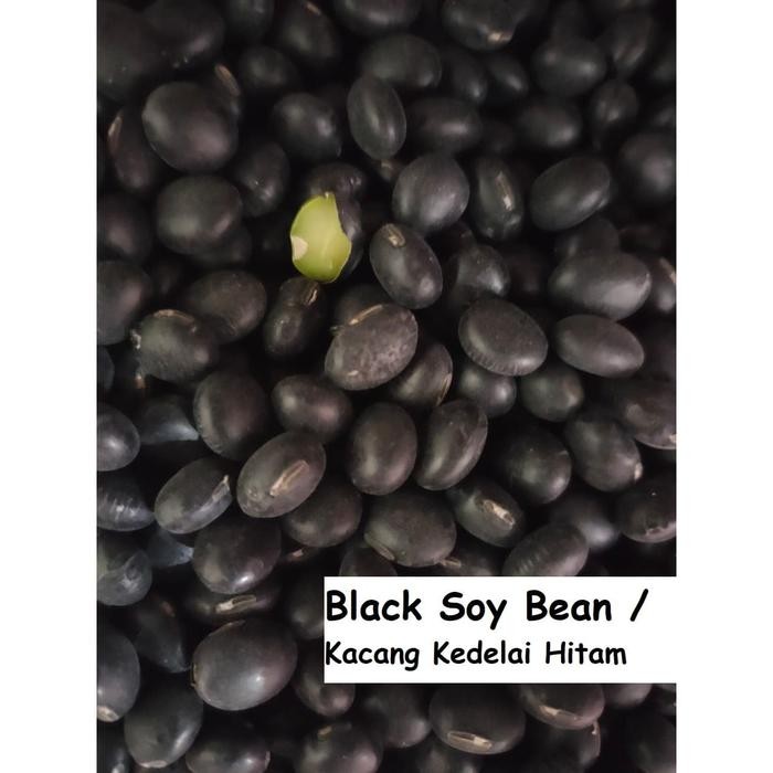 

NewZbgt- 1000gr Kacang Kedelai Hitam - Small Black Bean