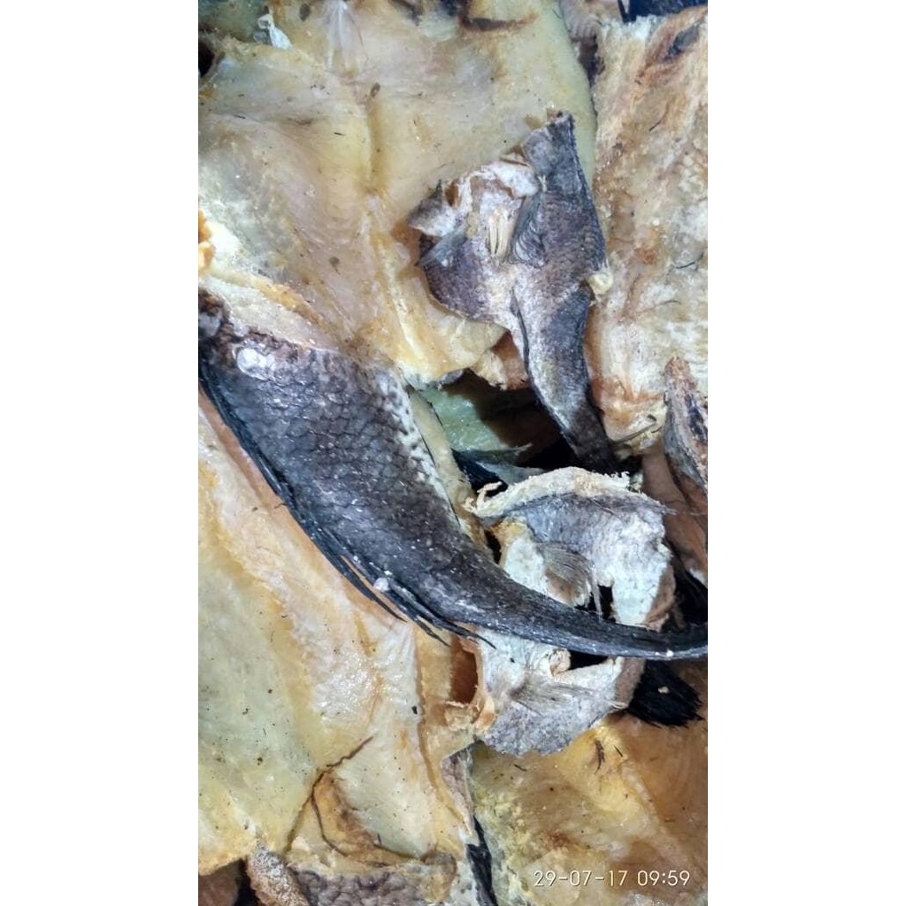 

NewZbgt- Ikan Asin Gabus 500 Gram