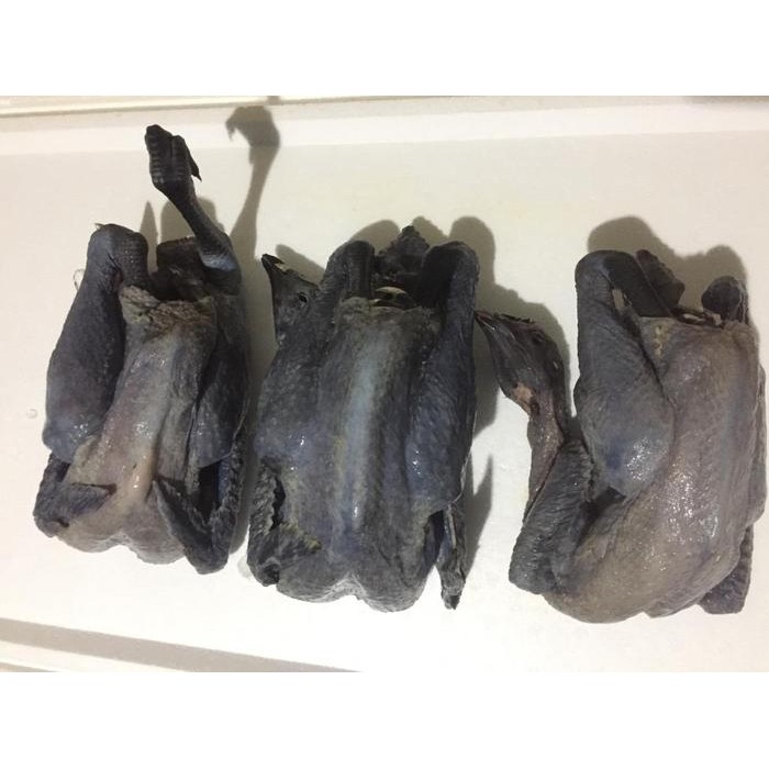 

Daging Ayam Cemani/Black Chicken-Andalas