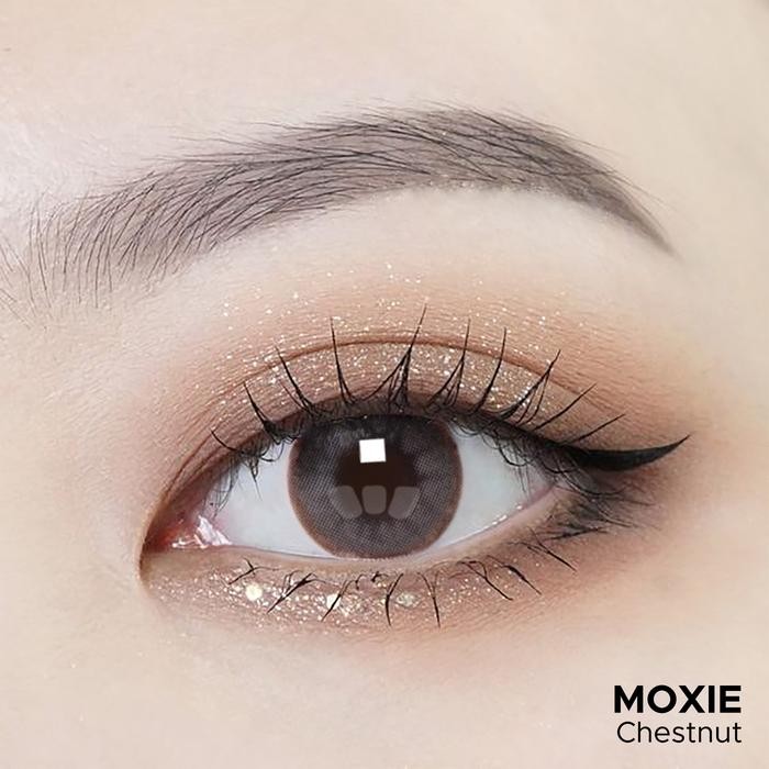 Exoticon Softlens - Moxie - Chestnut Eye Soflens Lensa