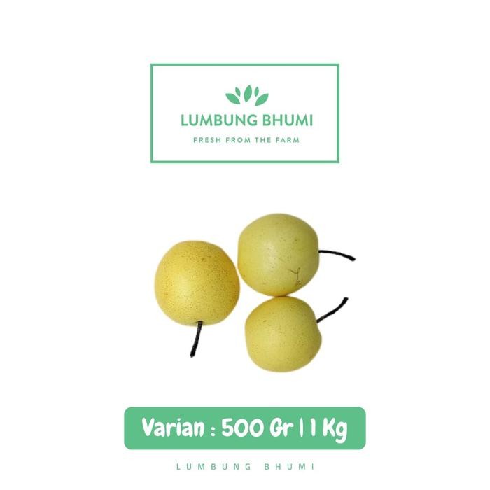 

New Pear Century Buah - Lumbung Bhumi