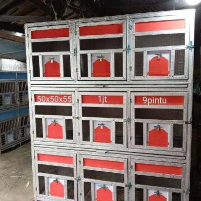 kandang burung merpati dara / kandang macan gupon bupon 9 pintu (2) by berkah kurung creative