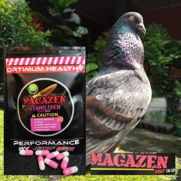 MAGAZEN STABILIZER/jamu suplemen merpati kolong terbaru