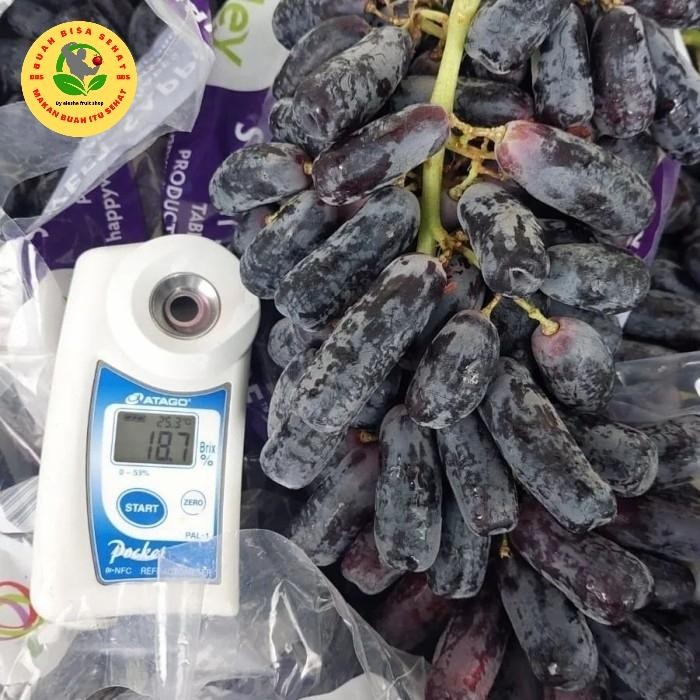 

InstanTanyadulu- Anggur Moondrop seedless / Anggur lonjong tanpa biji / sweet saphire