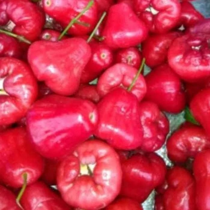 

InstanTanyadulu- buah jambu air