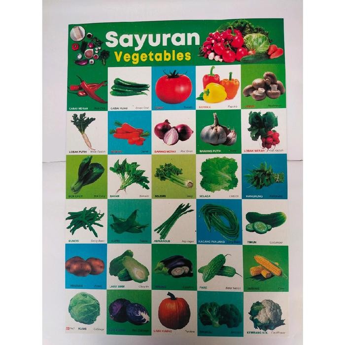 

ID PAKET 10 LEMBAR POSTER EDUKASI ANGKA 1-100 L HURUF ALFABET L BUAH FRUITS L SAYURAN L TRANSPORTASI