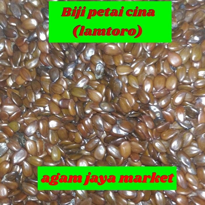 

biji petai cina/lamtoro berat gram *