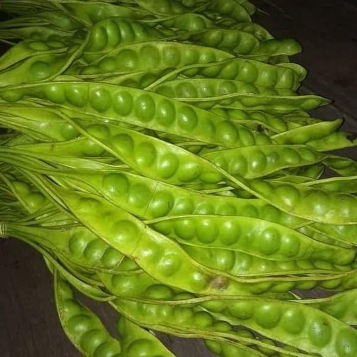 

Jual Petai/Pete Sayur Terlaris Segar - Per 1 Papan *