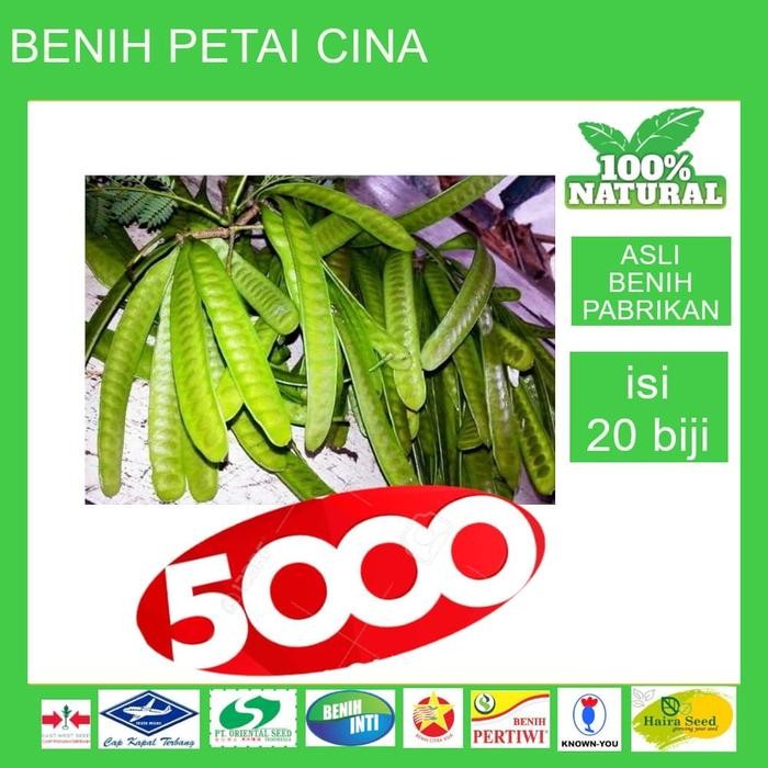 

Bibit Benih Biji Seed Unggul Petai Cina Lamtoro Repack Sean *