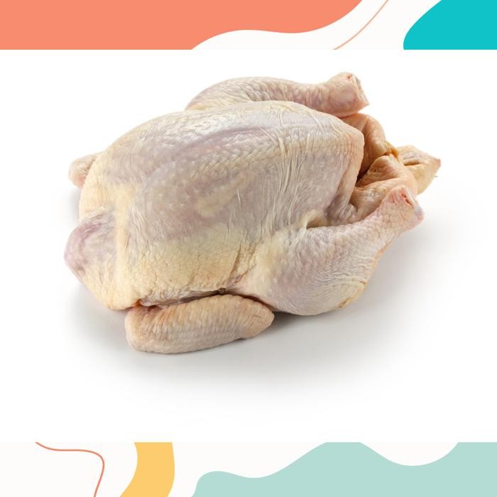 

TodayFre3sH- Ayam Potong Utuh / Karkas Broiler Tanpa Kepala Ceker / Whole Chicken
