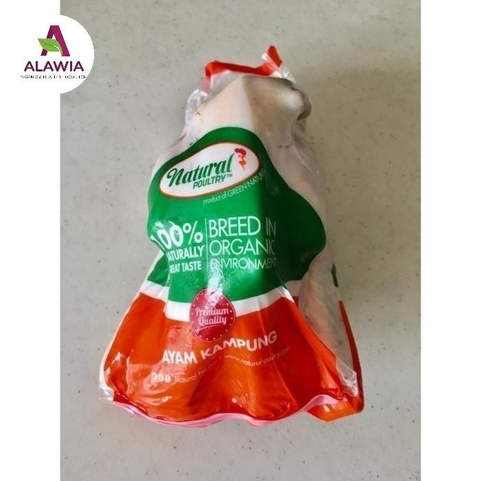 

BeliSkrg,KirimHariini- Ayam Kampung Organik Natural Poultry
