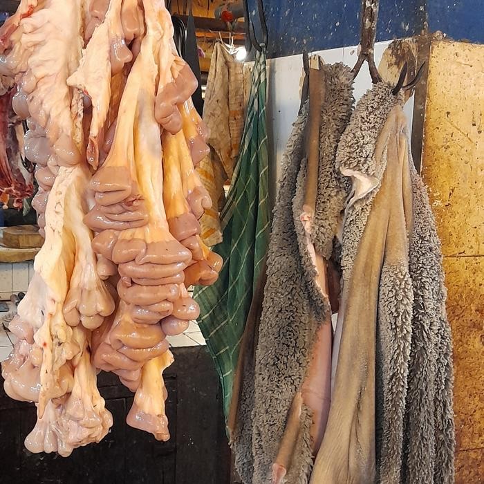 

BeliSkrg,KirimHariini- Iso Babat Sapi Campur Segar Fresh Lokal Segar