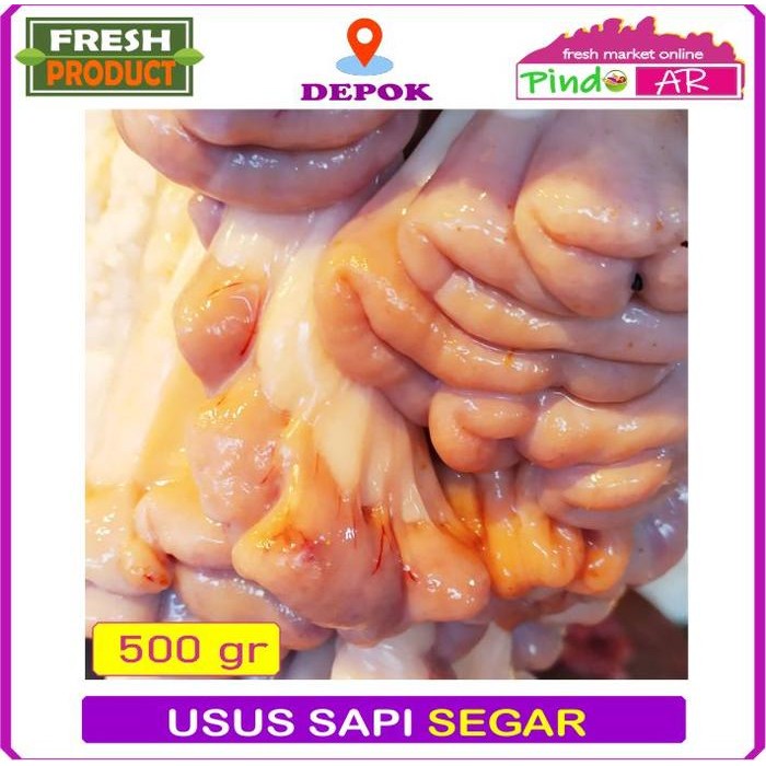 

BeliSkrg,KirimHariini- USUS SAPI LOKAL SEGAR 500 GRAM