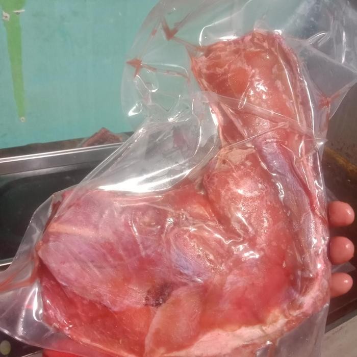 

PastikanDikirimLgsg- Rahang tuna natural /kg