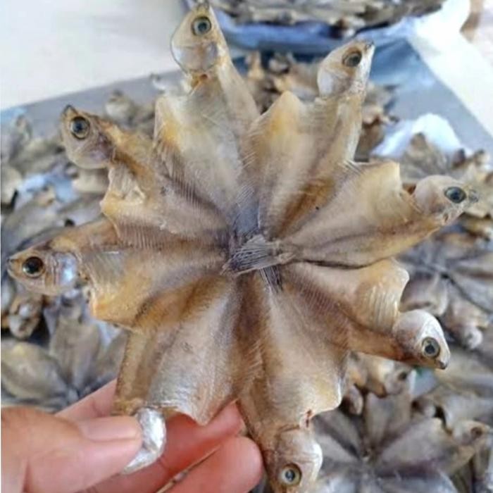 

PastikanDikirimLgsg- IKAN ASIN SEPAT KECIL (250 GRAM)