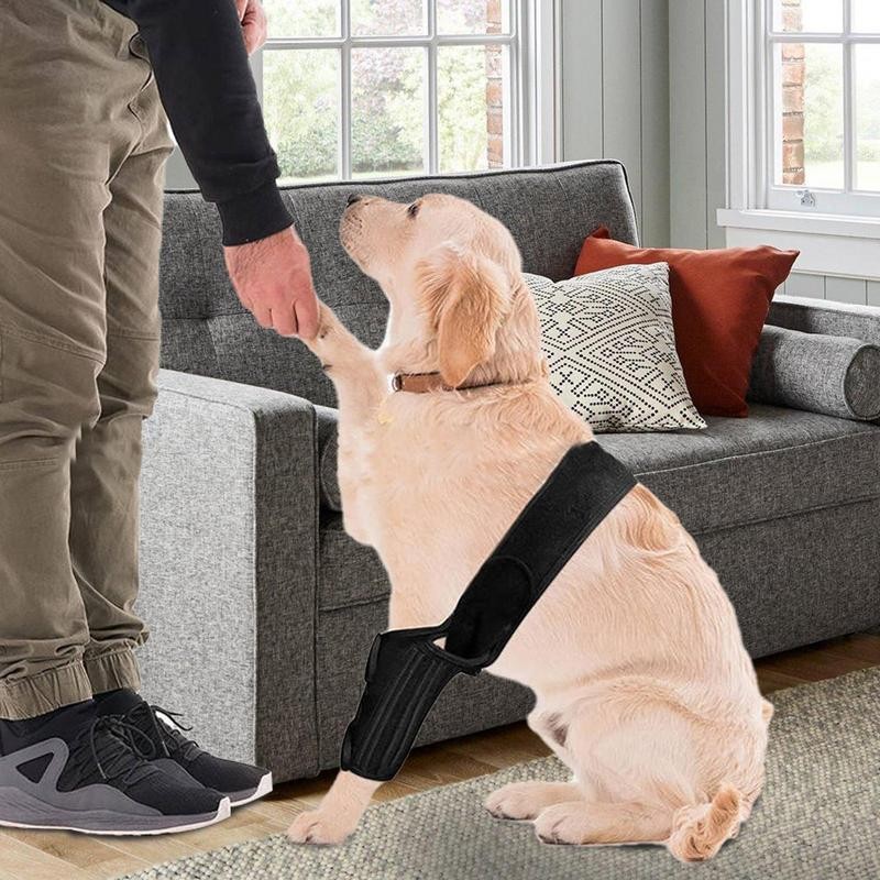 Dog Hip Brace Adjustable Dog Braces Leg Arm Sleeve Soft And Breathable Hock Brace Tear Protection Fo