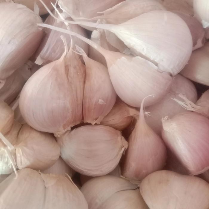 

BAWANG PUTIH KATING SUPREM (SIUNG BESAR)