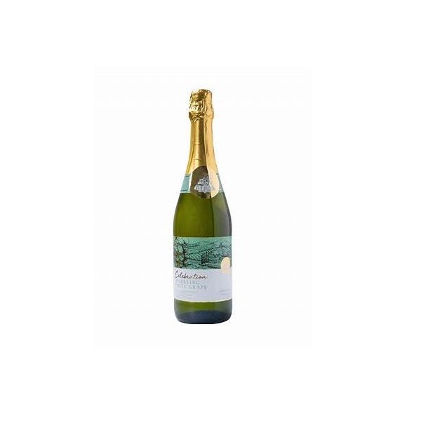

STAR VILLAGE SPARKLING WHITE GRAPE 750ML