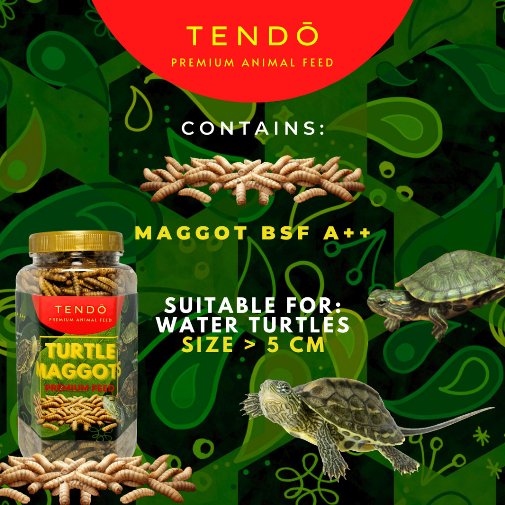 Makanan Kura Kura Air Pelet Kura Kura Pakan Kura Kura Brazil Dada Merah Ambon Maggot Magot Kering