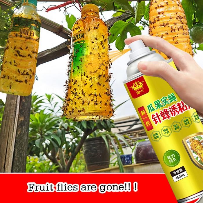 Lem Perekat Lalat Buah Serangga Mengendalikan Lalat Buah Perangkap Serangga Lalat Buah Terbang