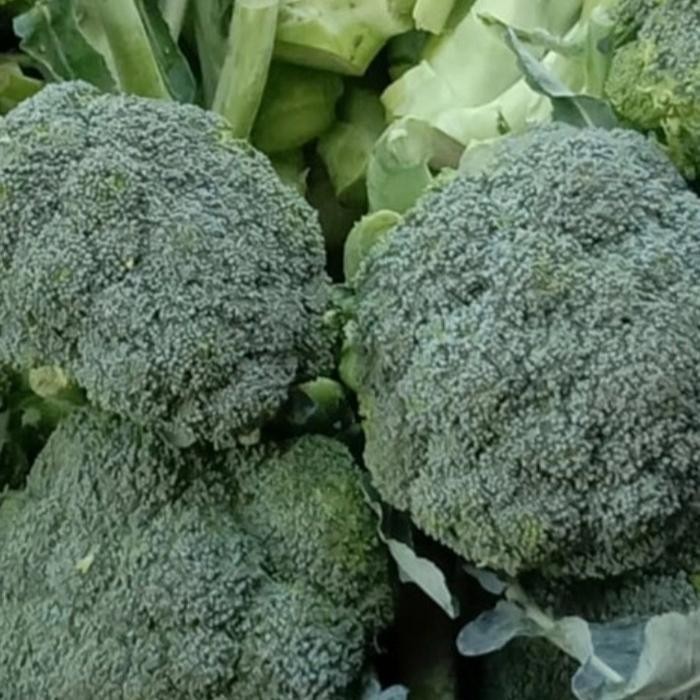 

BnyKBonusBelidiMari- brokoli hijau 1kg