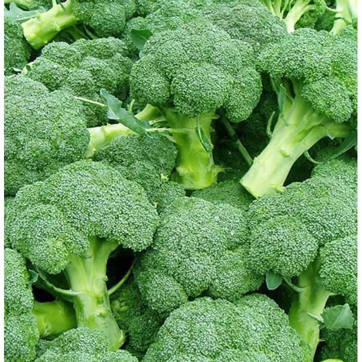 

BnyKBonusBelidiMari- Brokoli 500 gr - Segar