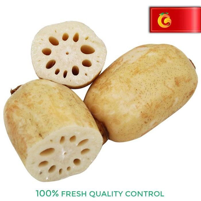 

BnyKBonusBelidiMari- SAYUR AKAR TERATAI - LOTUS / PCS