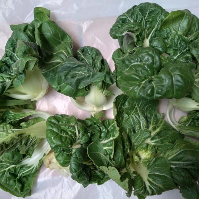 

BnyKBonusBelidiMari- Sayur Topai/Naibai , Nangka Sayur & Brokoli 250 gr
