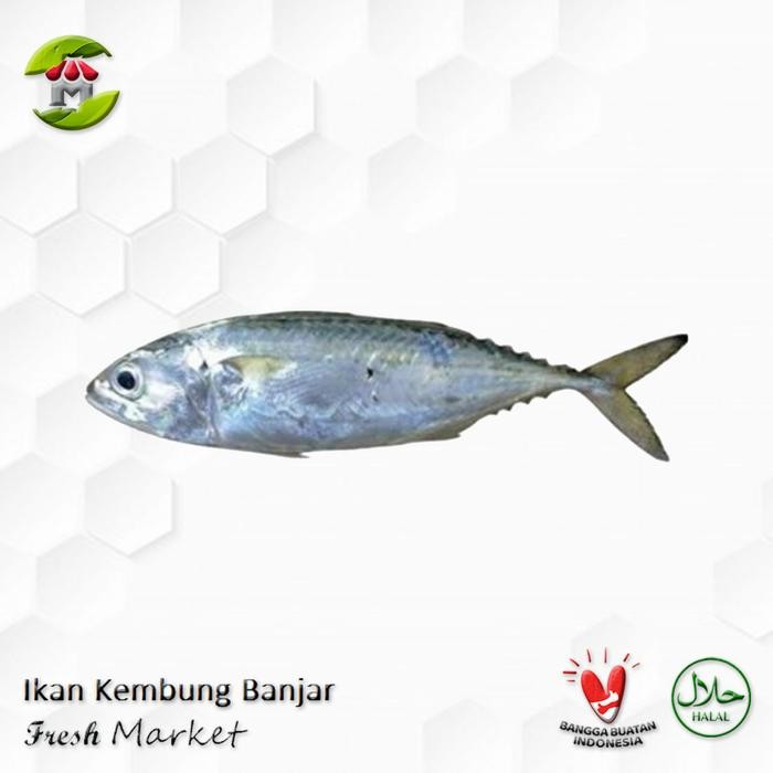 

PastiFreShNya- Ikan Kembung Banjar 900gr - 1.000gr