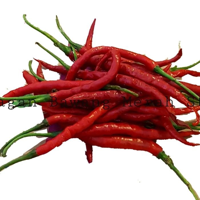 

BnyKBonusBelidiMari- cabe merah keriting 500 gram
