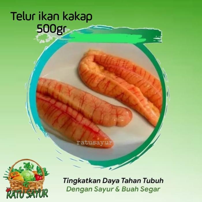 

PastiFreShNya- telur ikan kakap /ratusayurcikeas/ berat 500 gram