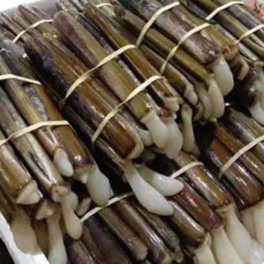 

PastiFreShNya- kerang bambu segar 1kg