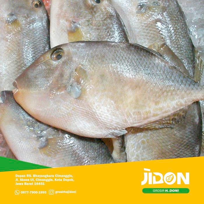 

PastiFreShNya- JUAL IKAN LAUT/IKAN SEGAR/IKAN AYAM-AYAM 500gr - 1kg