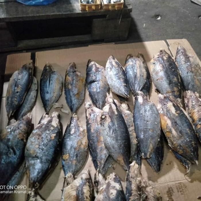 

PastiFreShNya- Ikan Cue Tongkol/Cakalang Pindang 1/2Kg(500gram)