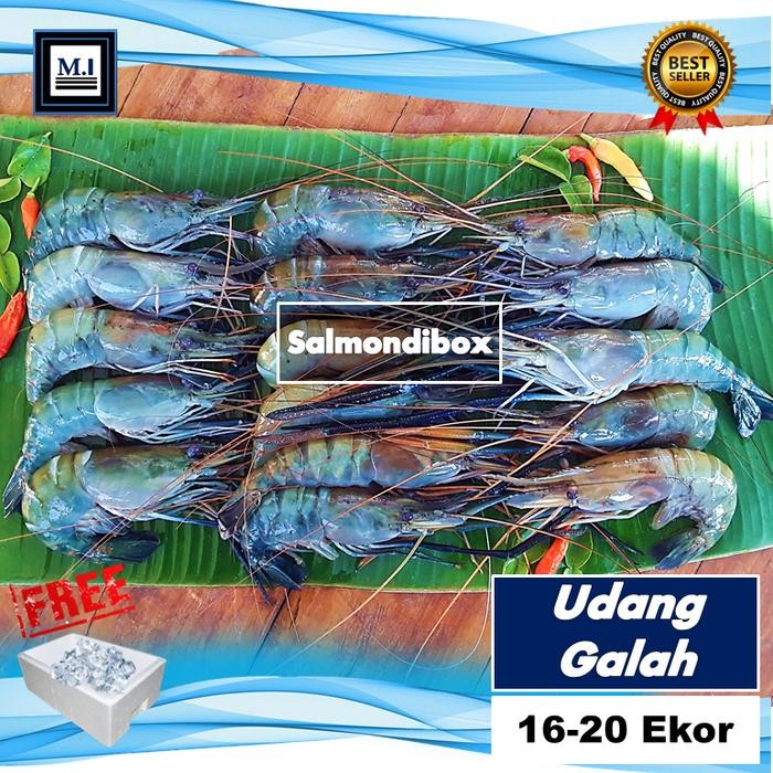 

PastiFreShNya- Udang Galah Fresh Isi 16-20 Ekor/Kg