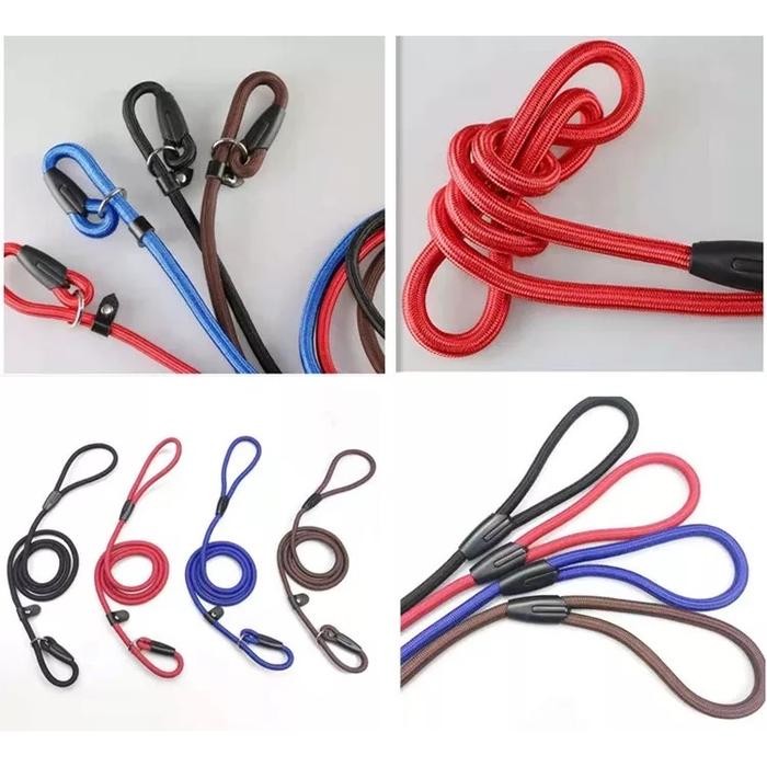 Dog Collar Leash - Tali Tuntun Anjing Kecil & Besar - Murah Bagus