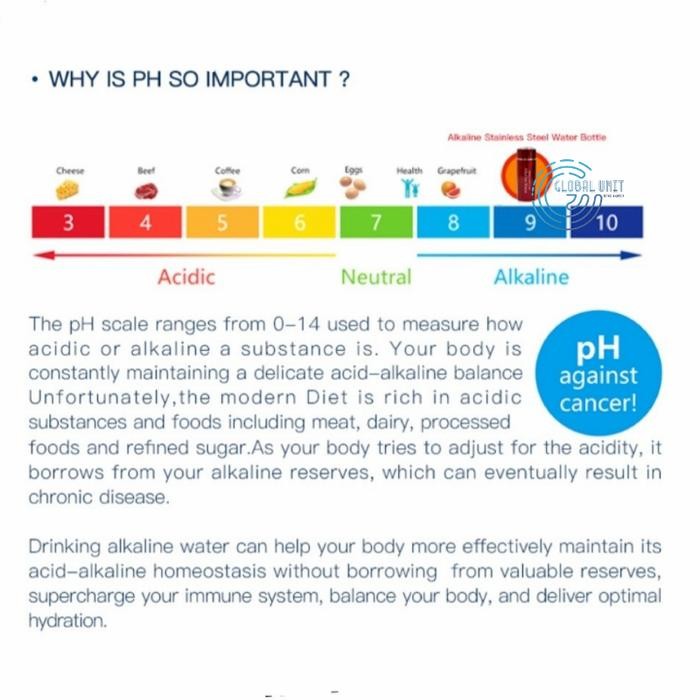 Stainless Steel Termos Air Alkaline / Botol Num / Water Flask Bottle