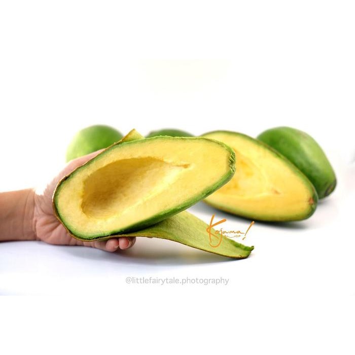 

Alpukat Mentega Kojama Jumbo - 2Kg