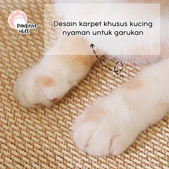 Karpet garukan kucing anti selip-karpet tahan terhadap cakaran kucing