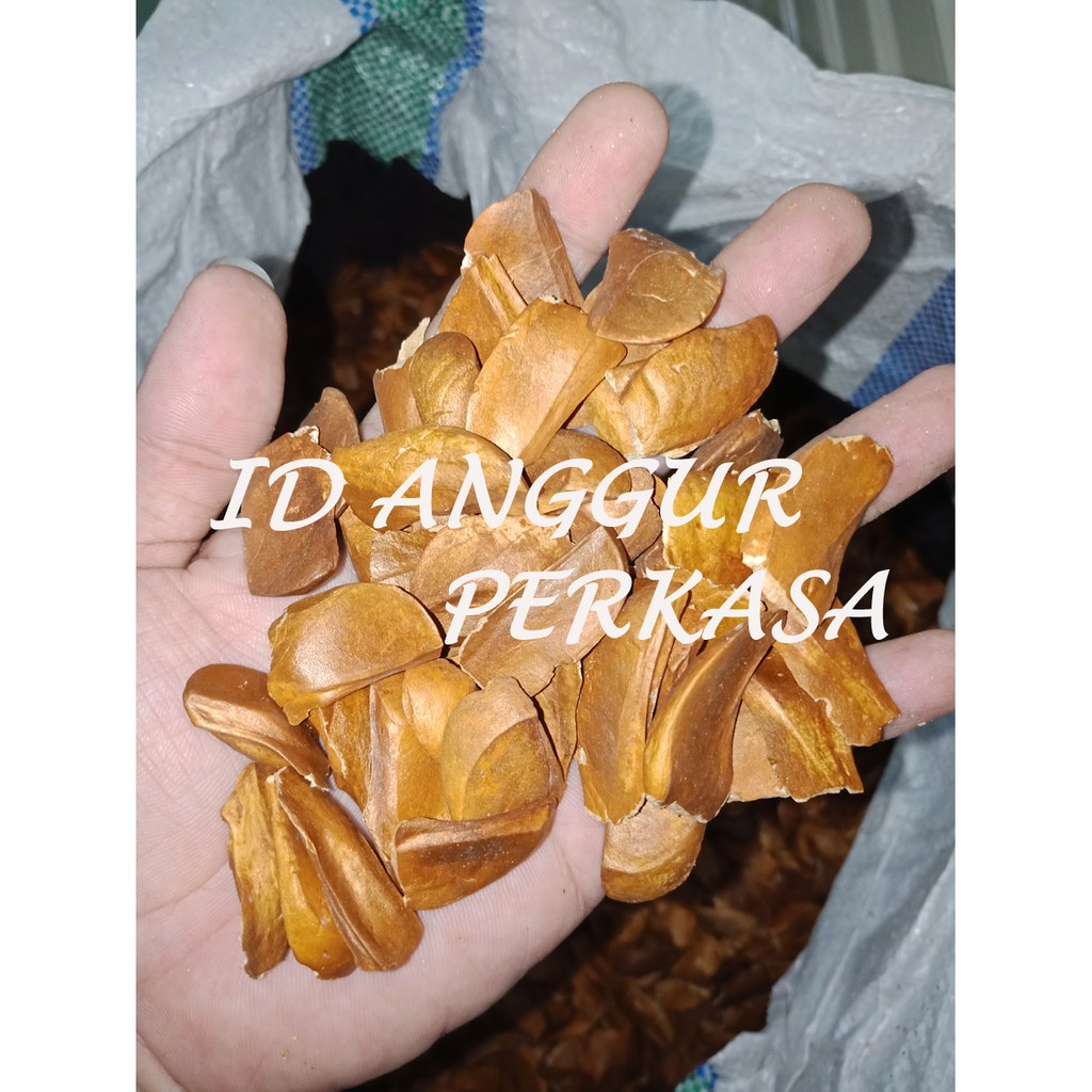 

500GR BIJI MAHONI / BUAH MAHONI