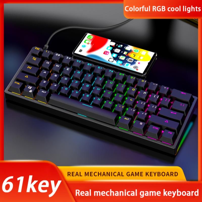 Mini Gaming Mechanical Keyboard 61 Keys RGB Hotswap Type-C Wired Gaming Keyboard PBT Keycaps 60% Erg