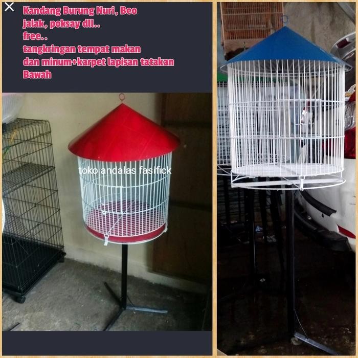 Amour Petshop Kandang Burung Poksay. Nuri Jagal Papua