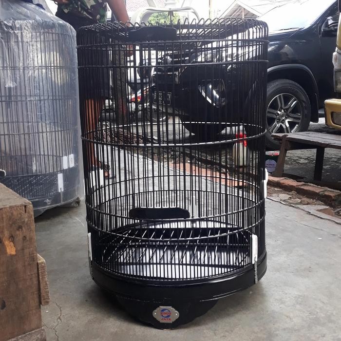 Amour Petshop Sangkar/Kandang Murai Ebod Jaya No 4(/)