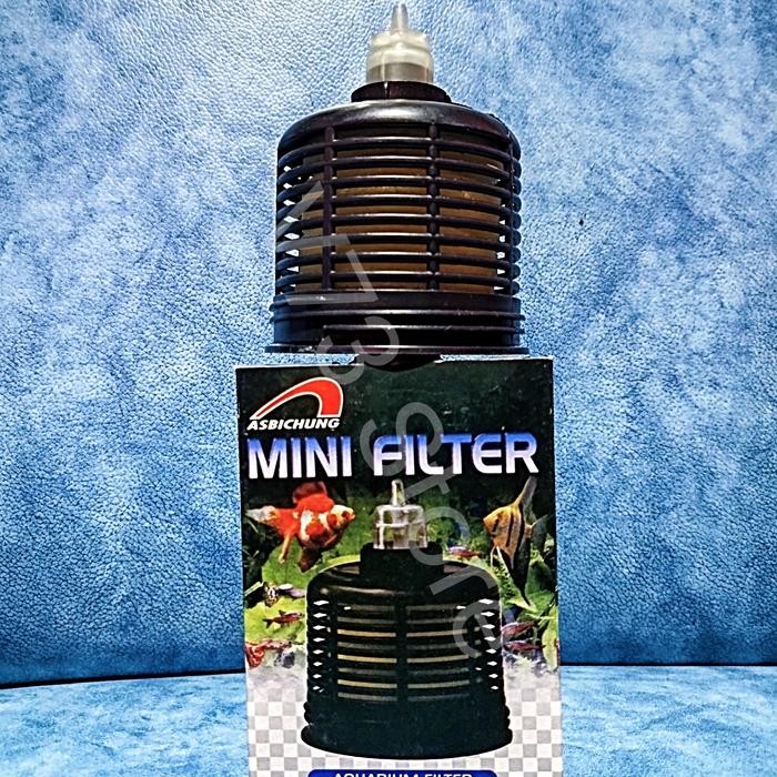 Mini Filter Aquarium Aquascape