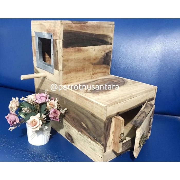 Pawfect Grooming Glodok Burung Besar Nuri/Afgrey