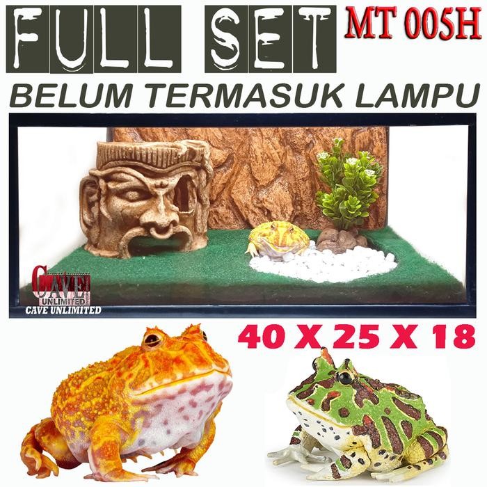 Pawfect Grooming Mt005H Terrarium Kandang Aquarium Pacman Katak Kodok Frog Amphibi